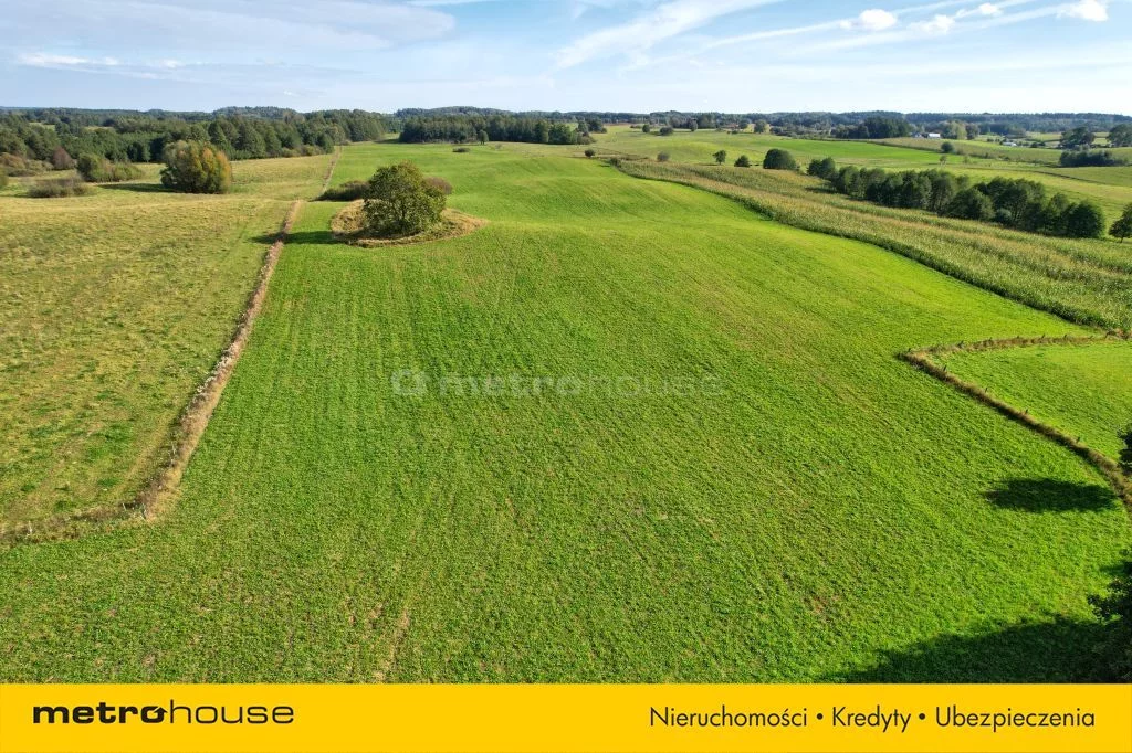 Działka 3 004,00 m², oferta nr , SGFUJA515, Krzywe