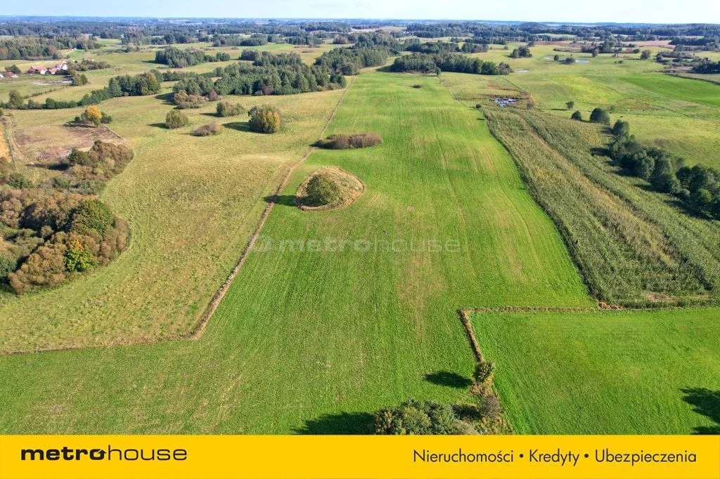 Działka 3 004,00 m², oferta nr , SGFUJA515, Krzywe