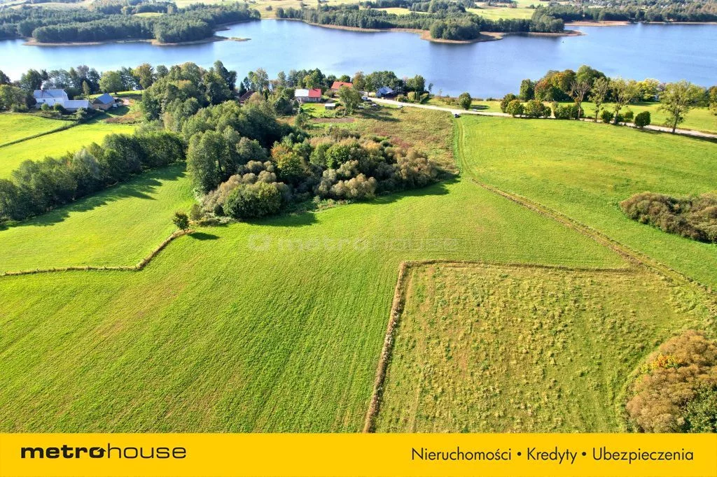 Działka 3 004,00 m², oferta nr , SGFUJA515, Krzywe