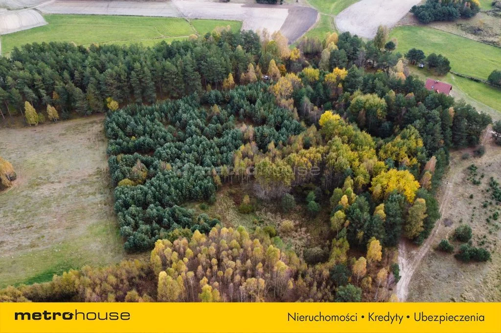 Działka 12 105,00 m², oferta nr , SGVIVI996, Kurcze