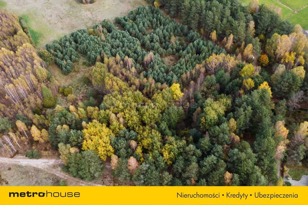 Działka 12 105,00 m², oferta nr , SGVIVI996, Kurcze