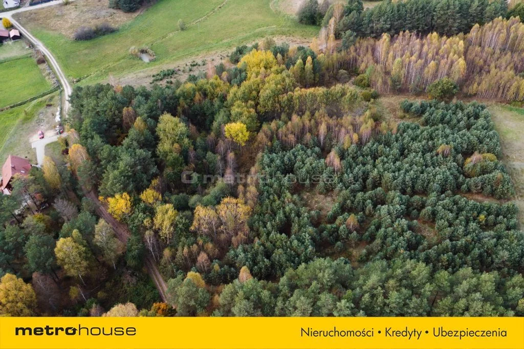 Działka 12 105,00 m², oferta nr , SGVIVI996, Kurcze