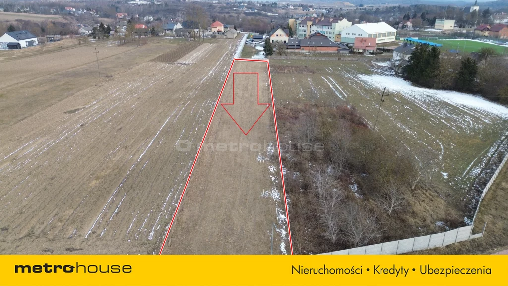 ROZE746 - zdjęcie nr 2