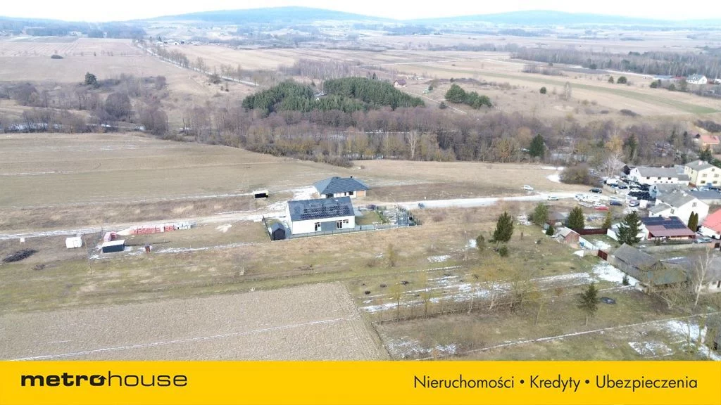 ROZE746 - zdjęcie nr 3