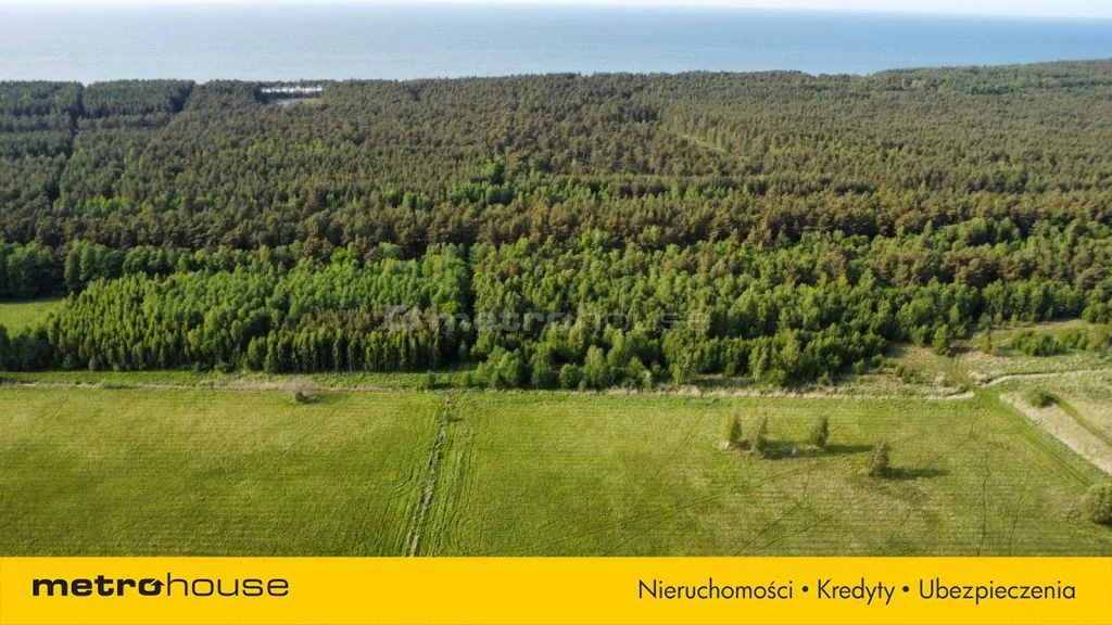 SGVAVI842 - zdjęcie nr 4