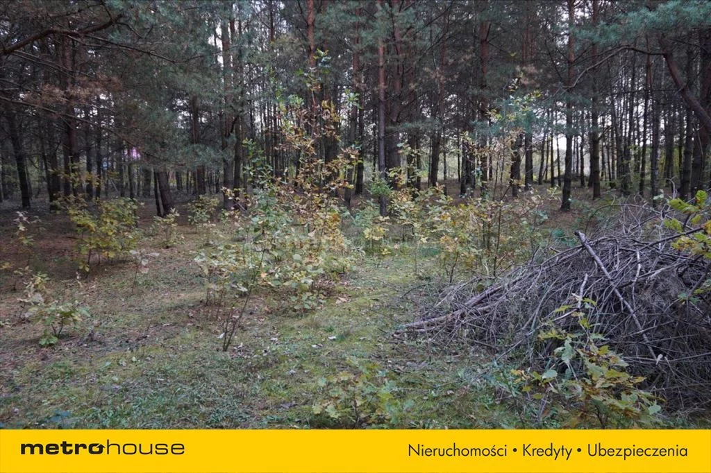 Działka 3 682,00 m², oferta nr , NUSU088, Łęg