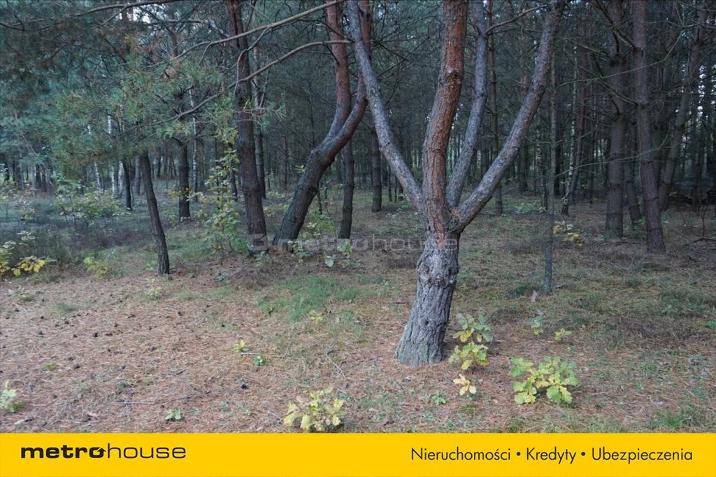 Działka 3 682,00 m², oferta nr , NUSU088, Łęg