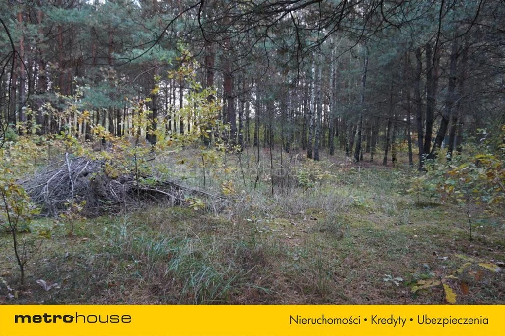 Działka 3 682,00 m², oferta nr , NUSU088, Łęg
