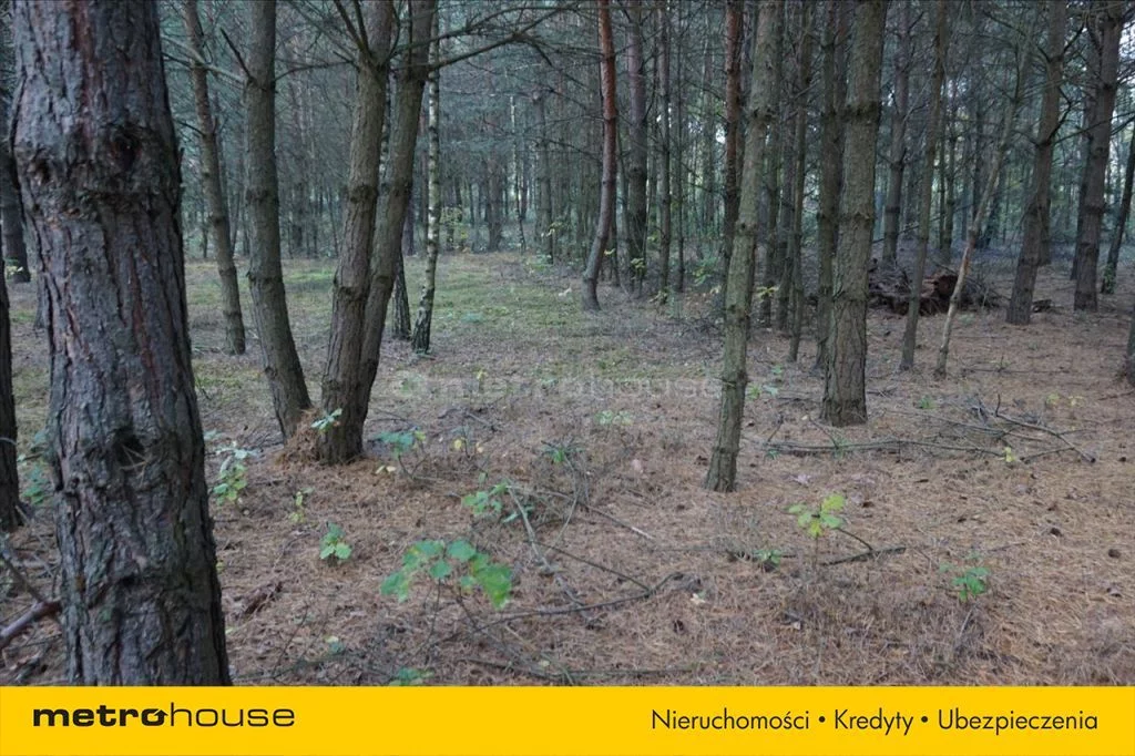 Działka 3 682,00 m², oferta nr , NUSU088, Łęg