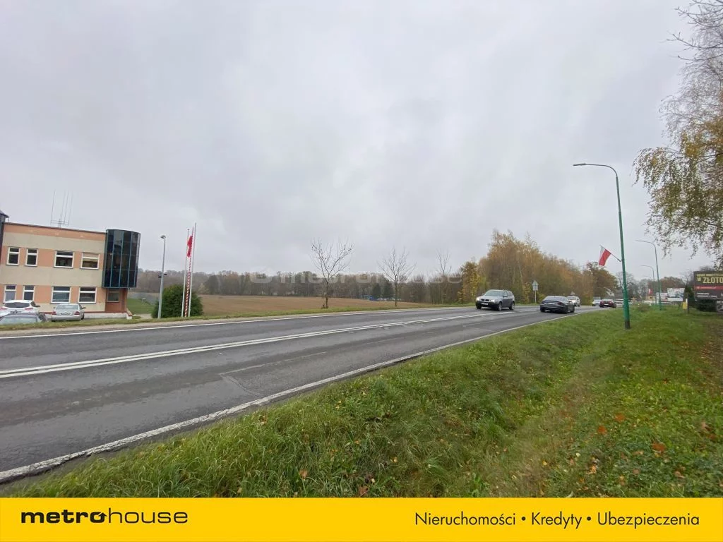 Działka 11 823,00 m², oferta nr , SGNALO826, Złotoryja, Legnicka