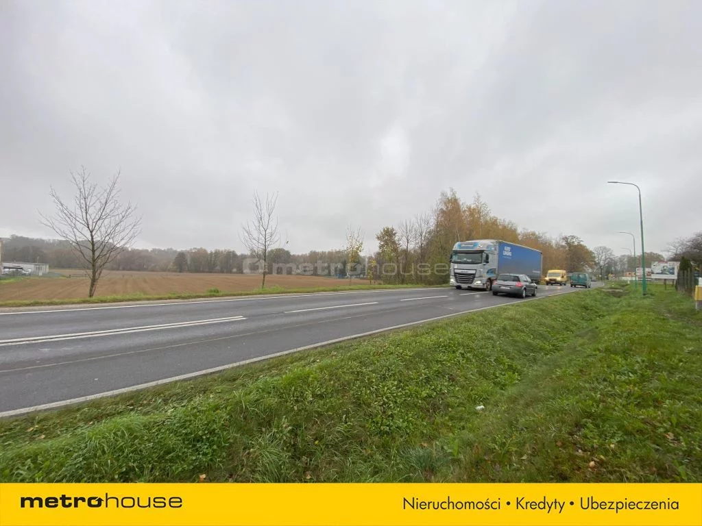 Działka 11 823,00 m², oferta nr , SGNALO826, Złotoryja, Legnicka
