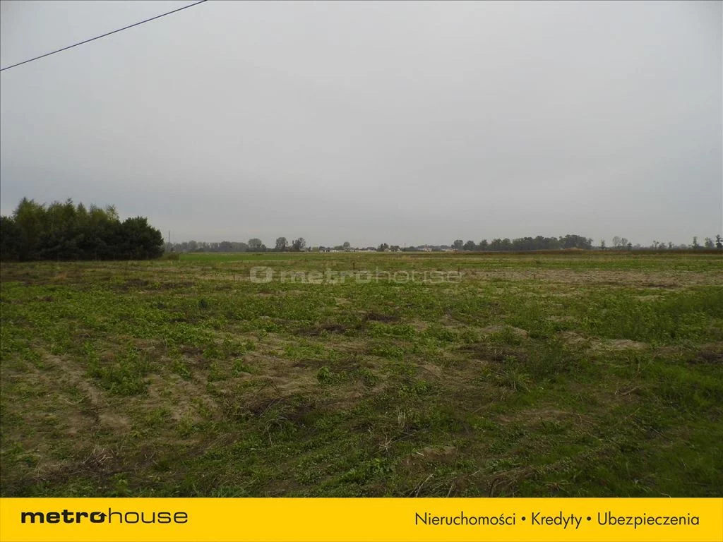 DIZA580 - zdjęcie nr 0