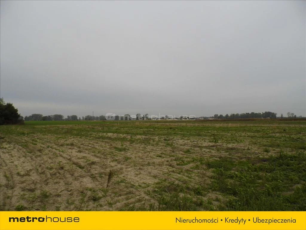 Działka 16 139,00 m², oferta nr , DIZA580, Łęka