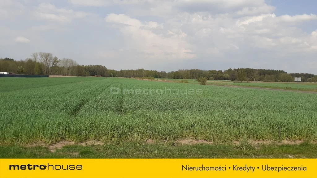Działka 10 006,00 m², oferta nr , SGGAZI911, Łęki