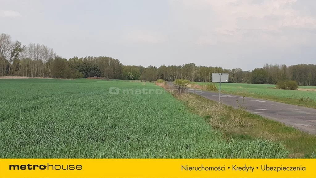 Działka 10 006,00 m², oferta nr , SGGAZI911, Łęki