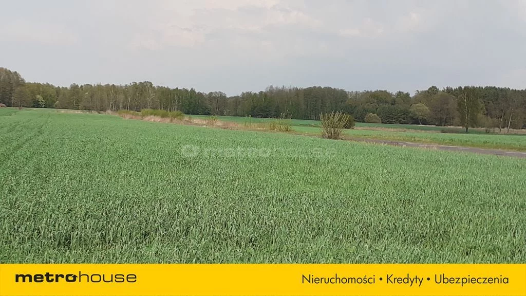 Działka 10 006,00 m², oferta nr , SGGAZI911, Łęki