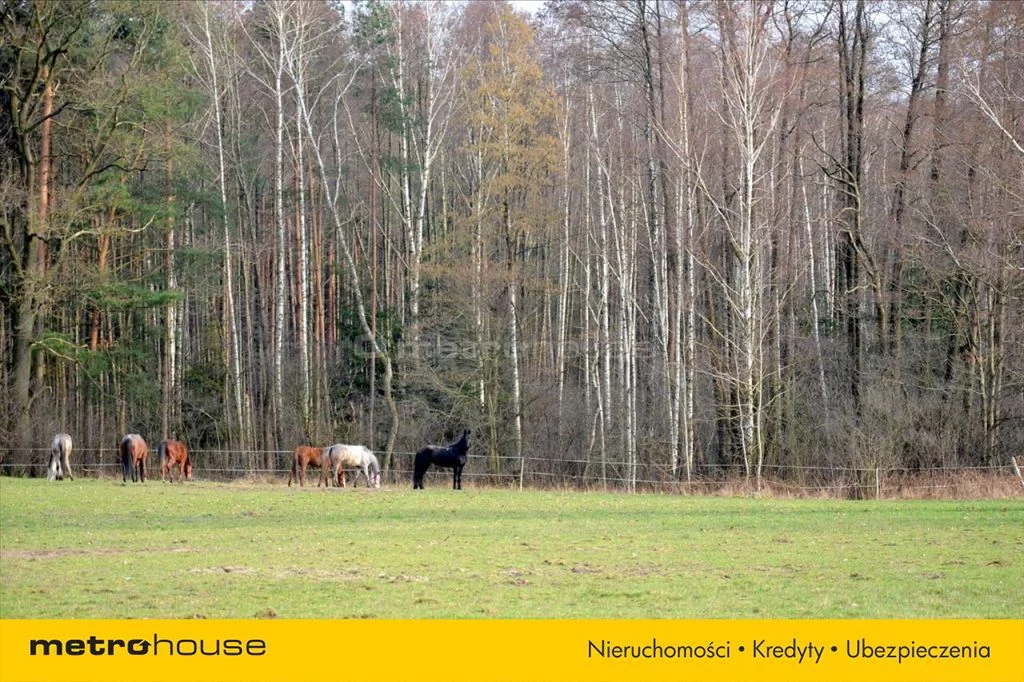Działka 8 470,00 m², oferta nr , BYHY469, Leonów