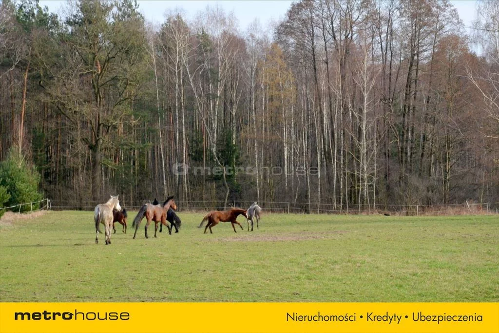 Działka 8 470,00 m², oferta nr , BYHY469, Leonów