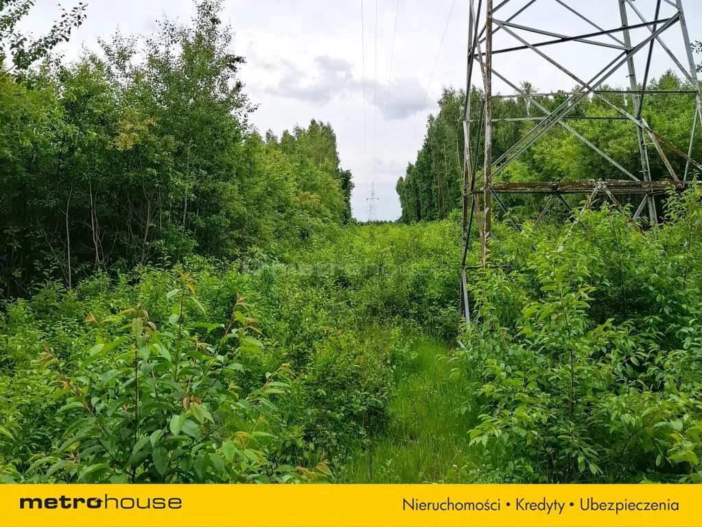 Działka 63 021,00 m², oferta nr , SGCORO250, Klawkowo, Leśna