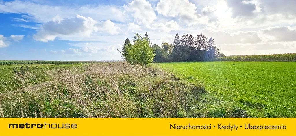 Działka 1 000,00 m², oferta nr , SGLABE339, Połczyno, Leśna