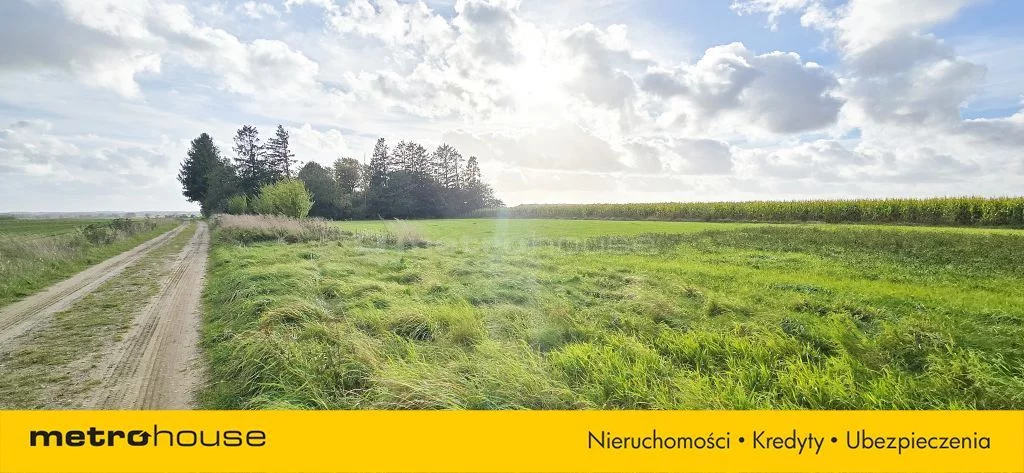 Działka 1 000,00 m², oferta nr , SGLABE339, Połczyno, Leśna