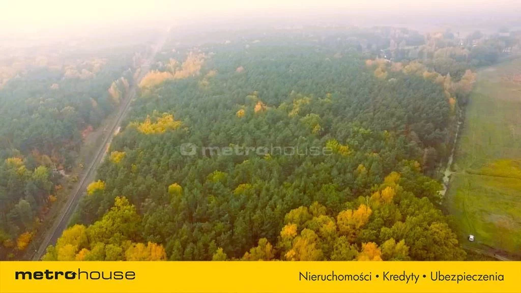 SGLITU118 - zdjęcie nr 3