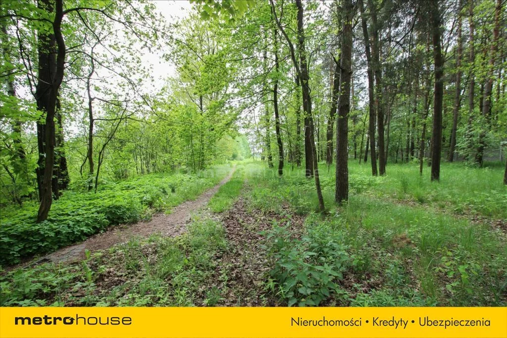 HECI812 - zdjęcie nr 1