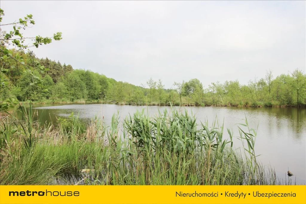 Działka 10 184,00 m², oferta nr , HECI812, Leśne Odpadki