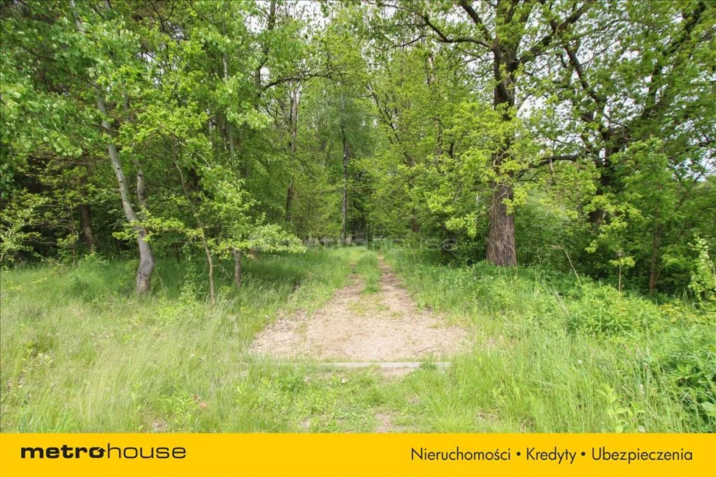 Działka 10 184,00 m², oferta nr , HECI812, Leśne Odpadki