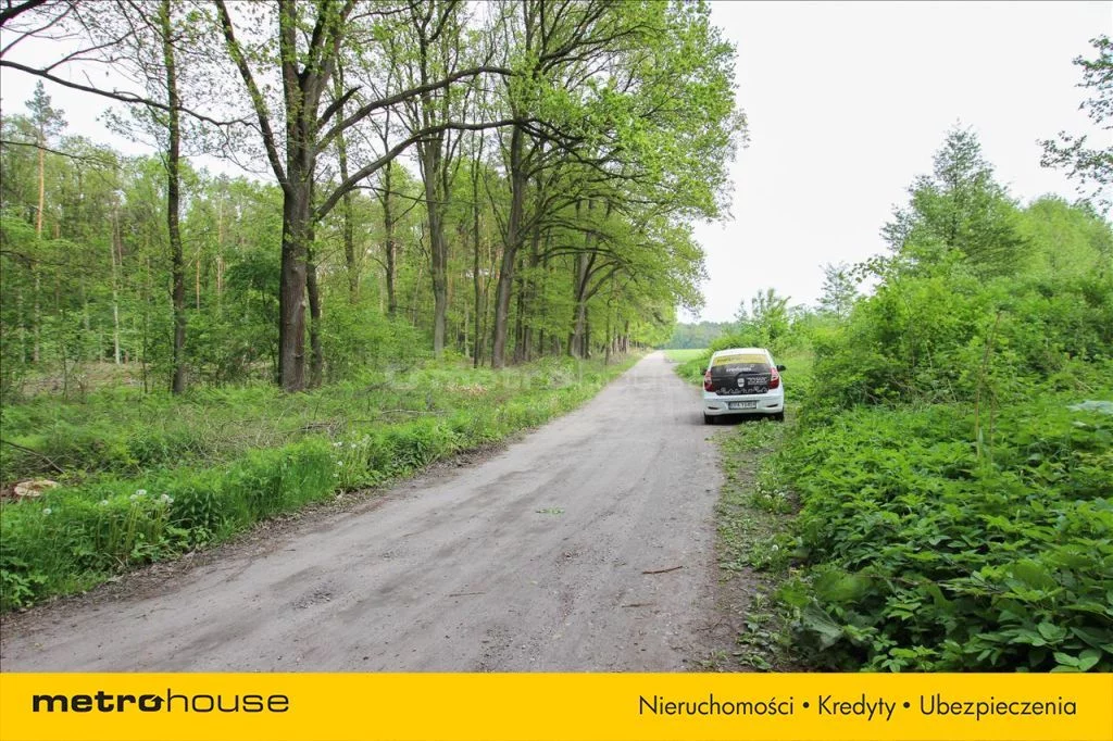Działka 10 184,00 m², oferta nr , HECI812, Leśne Odpadki