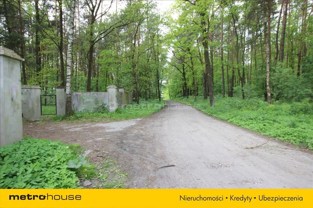 Działka 10 184,00 m², oferta nr , HECI812, Leśne Odpadki
