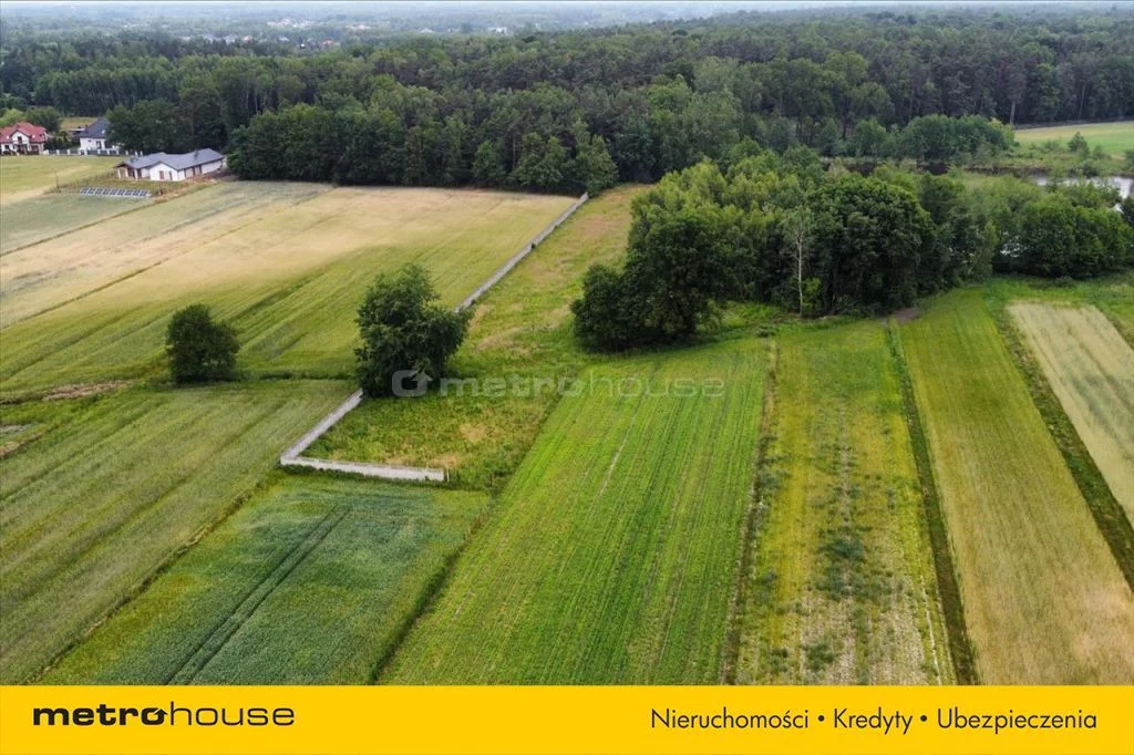 Działka 10 184,00 m², oferta nr , HECI812, Leśne Odpadki