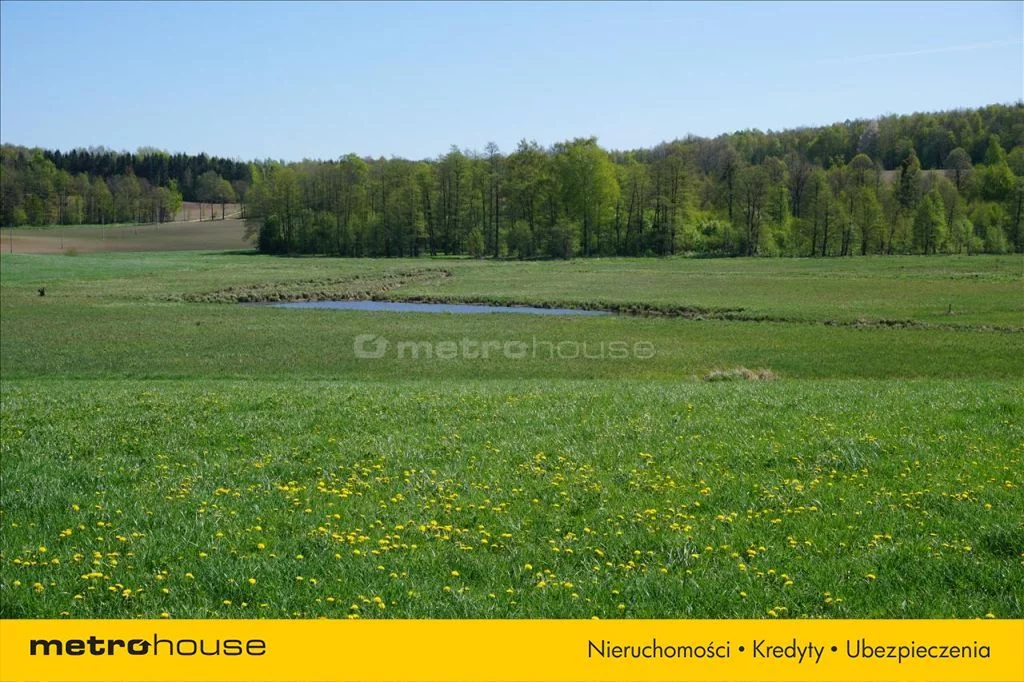 Działka 75 600,00 m², oferta nr , XATA777, Leśniewo