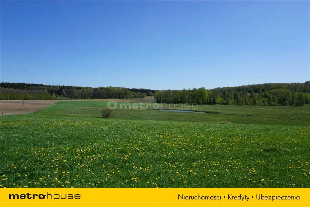 Działka 75 600,00 m², oferta nr , XATA777, Leśniewo