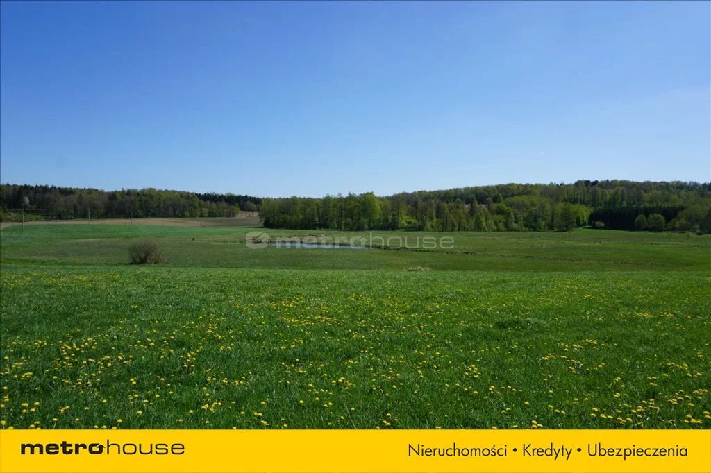Działka 75 600,00 m², oferta nr , XATA777, Leśniewo