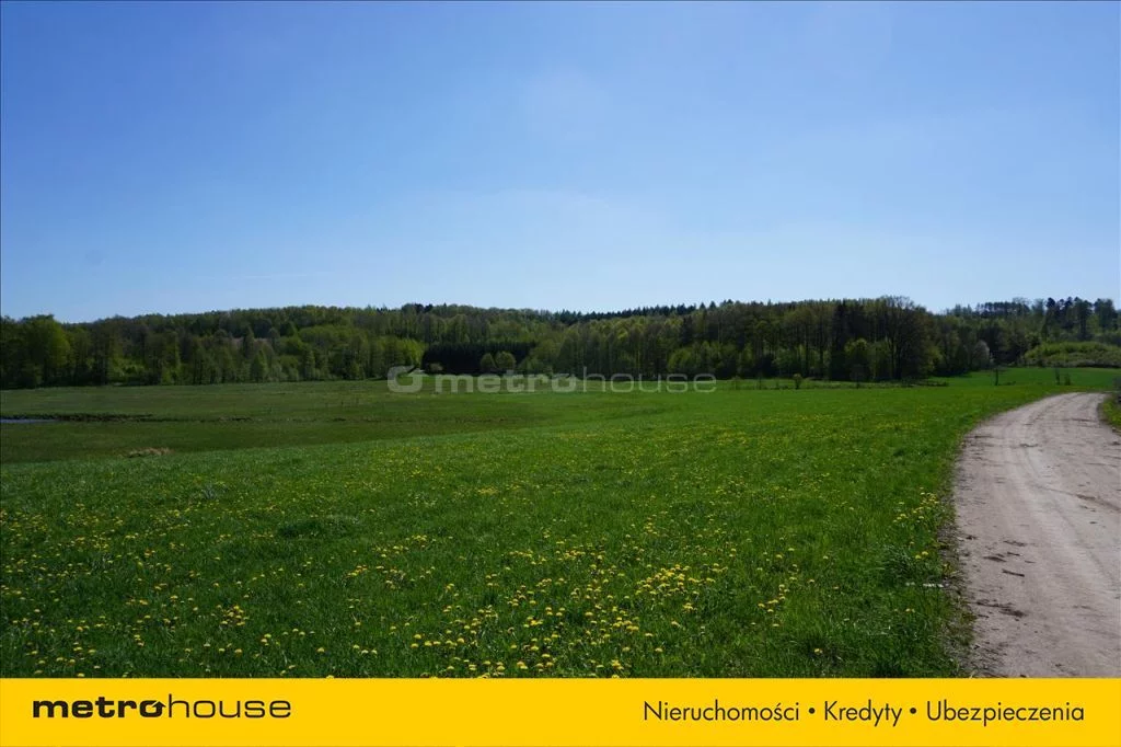 Działka 75 600,00 m², oferta nr , XATA777, Leśniewo
