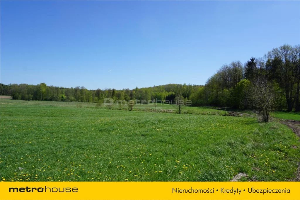 Działka 75 600,00 m², oferta nr , XATA777, Leśniewo