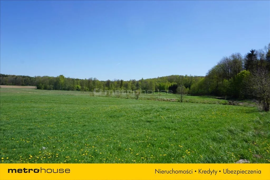 Działka 75 600,00 m², oferta nr , XATA777, Leśniewo