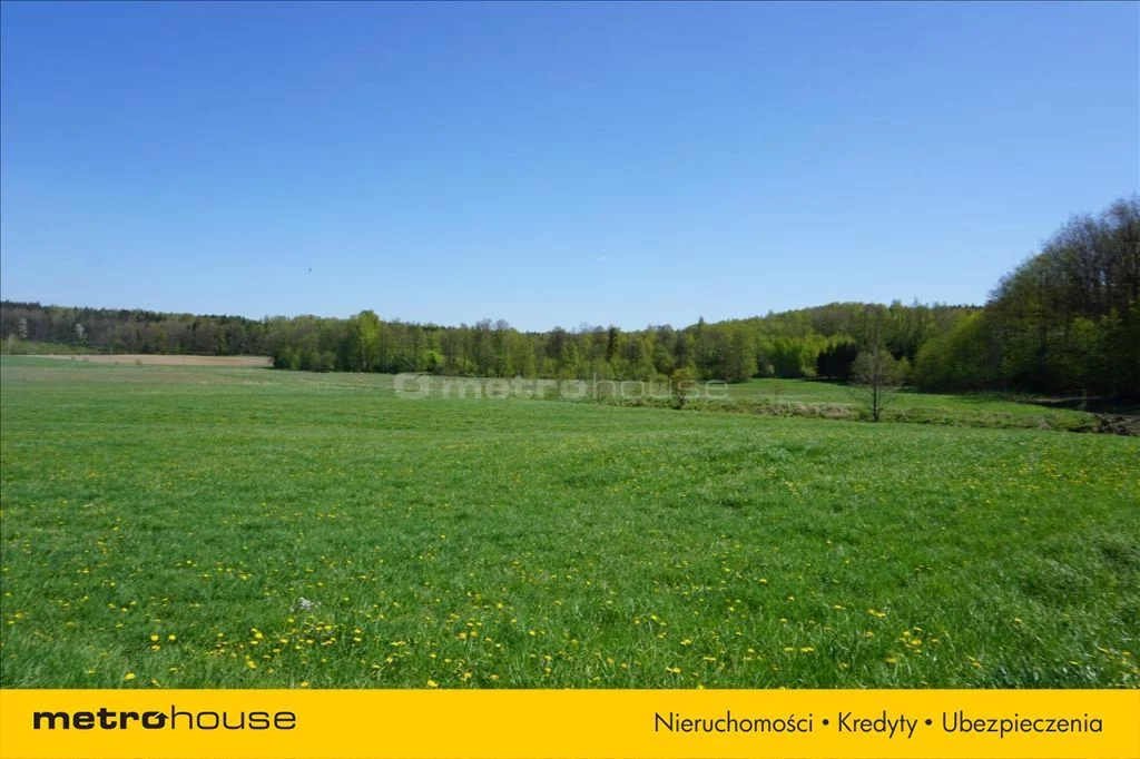 Działka 75 600,00 m², oferta nr , XATA777, Leśniewo
