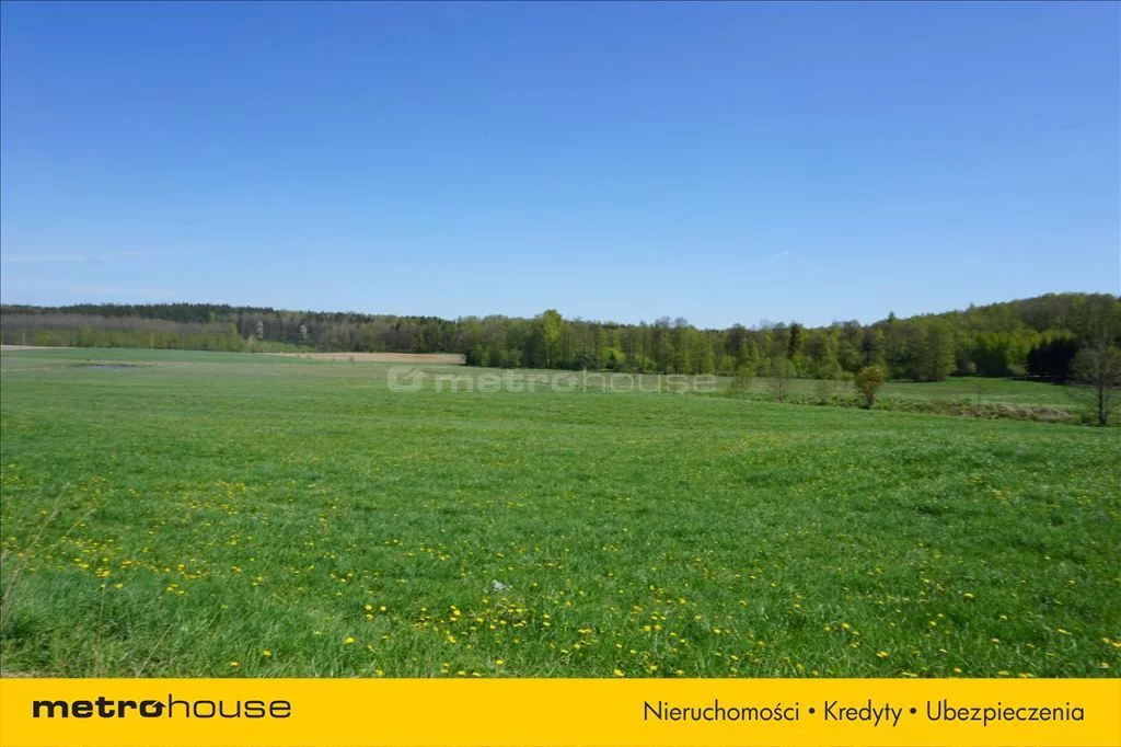 Działka 75 600,00 m², oferta nr , XATA777, Leśniewo