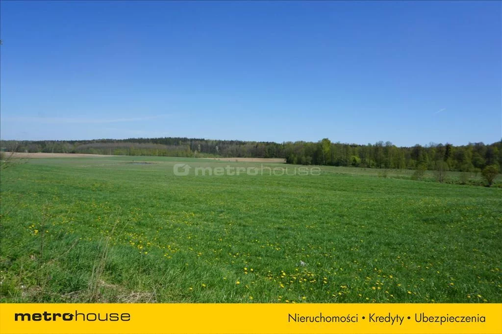 Działka 75 600,00 m², oferta nr , XATA777, Leśniewo