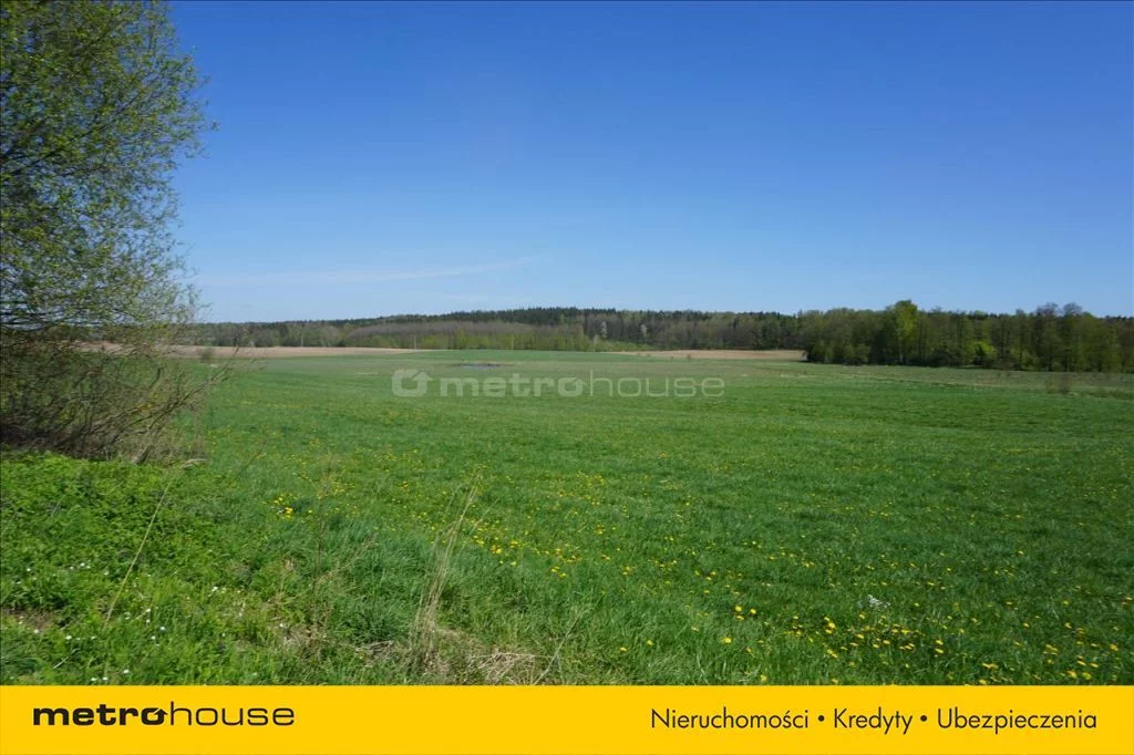 Działka 75 600,00 m², oferta nr , XATA777, Leśniewo