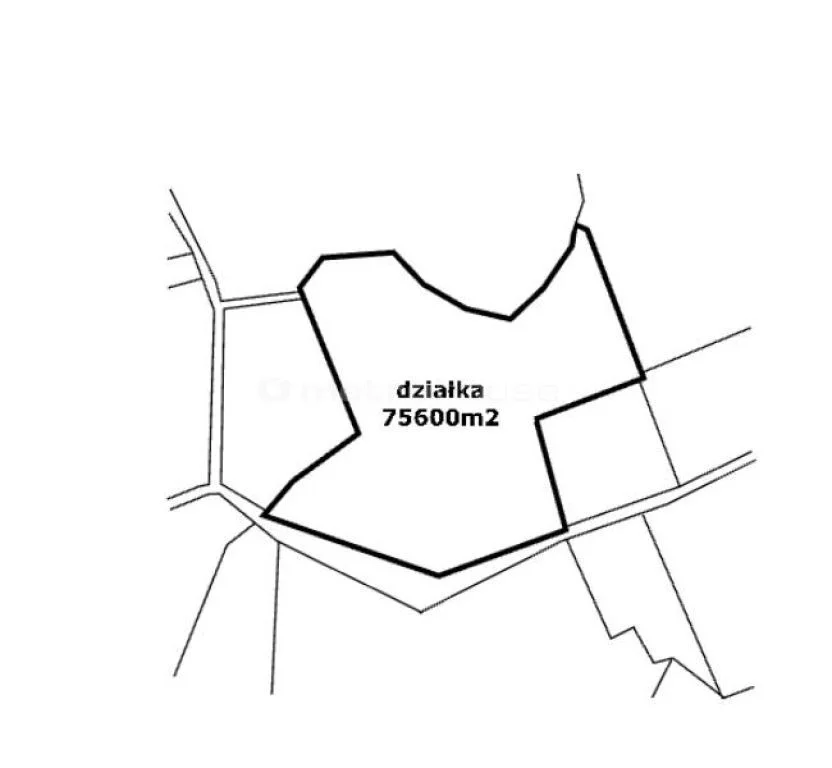 Działka 75 600,00 m², oferta nr , XATA777, Leśniewo