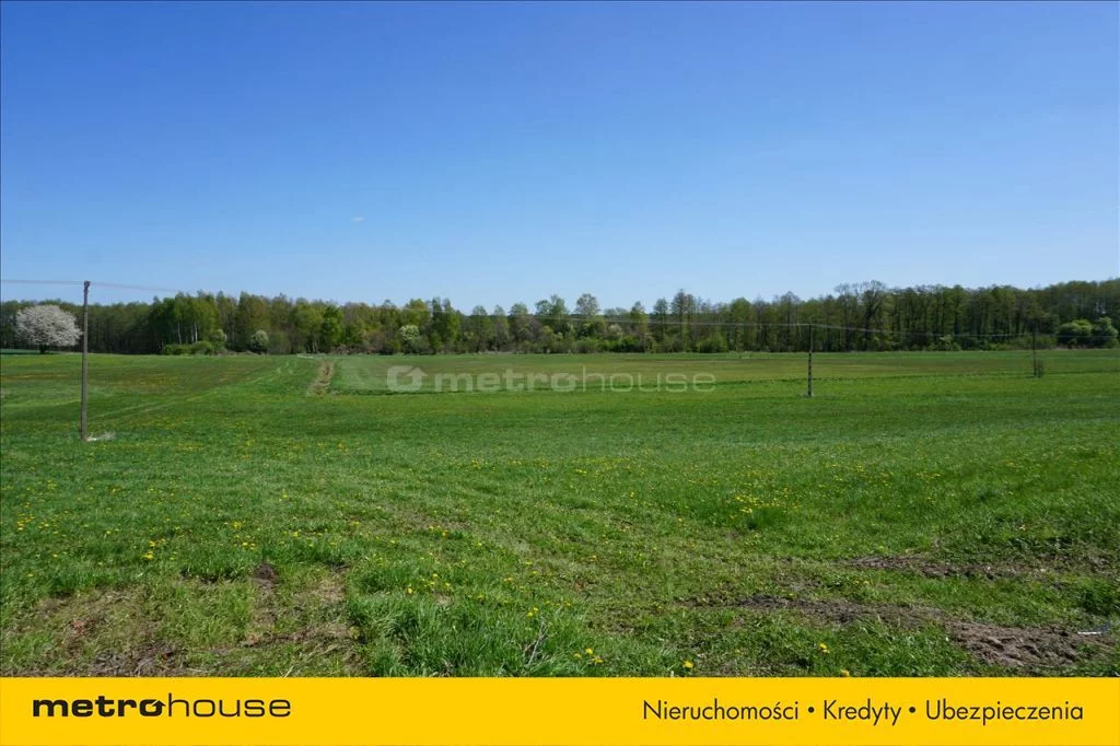 Działka 70 600,00 m², oferta nr , WOMO123, Leśniewo