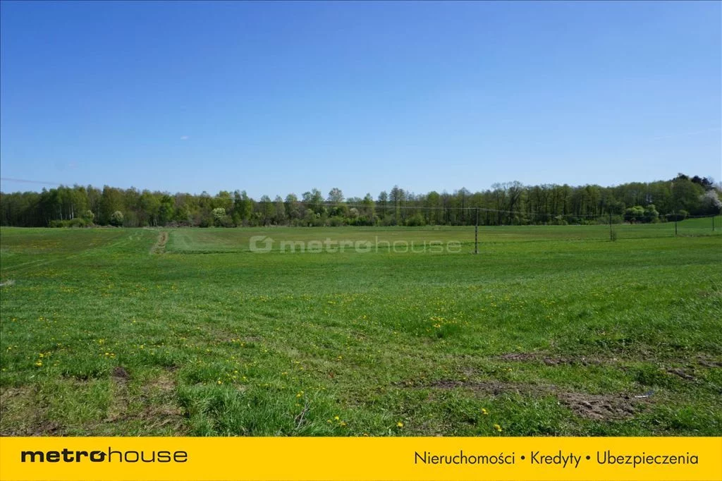 Działka 70 600,00 m², oferta nr , WOMO123, Leśniewo