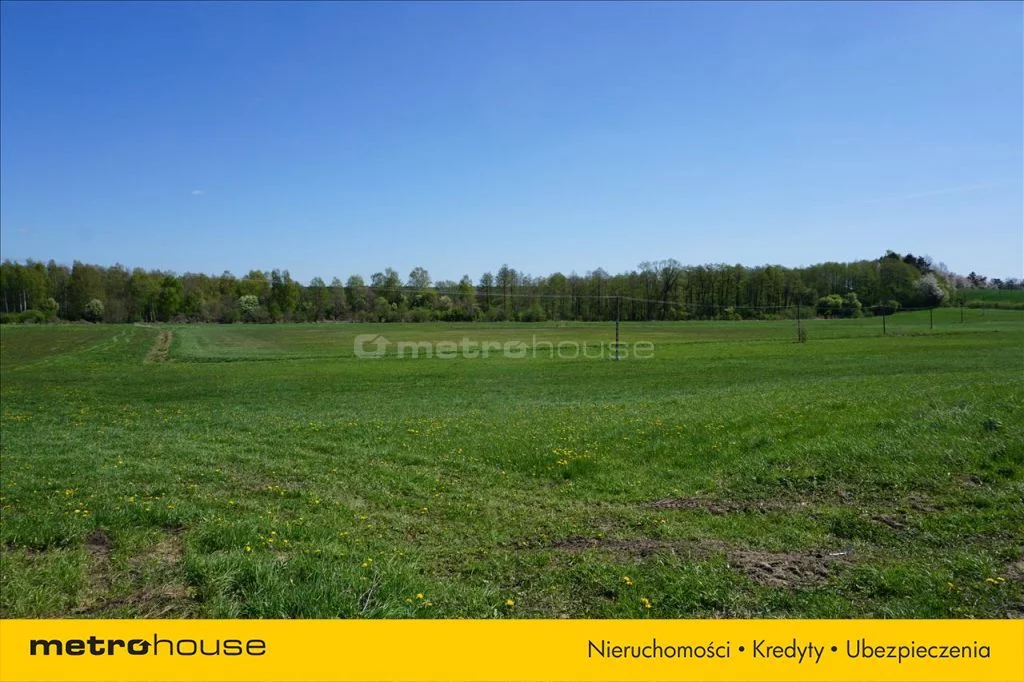 Działka 70 600,00 m², oferta nr , WOMO123, Leśniewo
