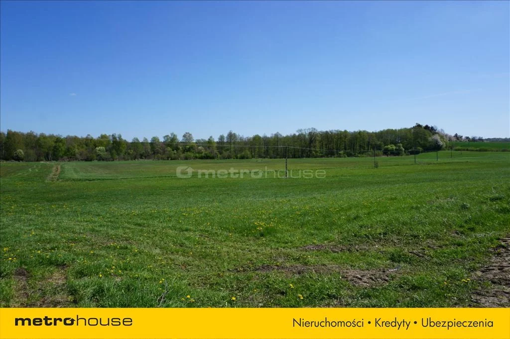 Działka 70 600,00 m², oferta nr , WOMO123, Leśniewo
