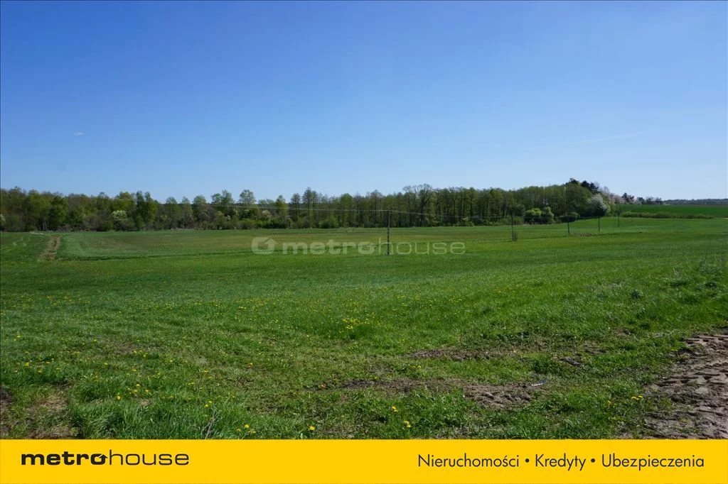 Działka 70 600,00 m², oferta nr , WOMO123, Leśniewo