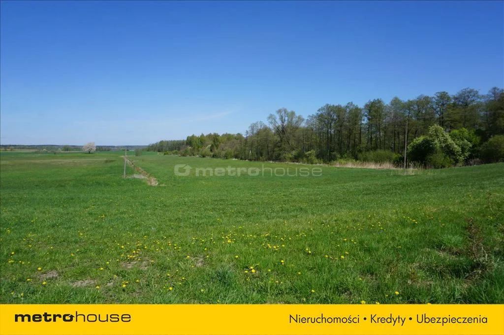 Działka 70 600,00 m², oferta nr , WOMO123, Leśniewo