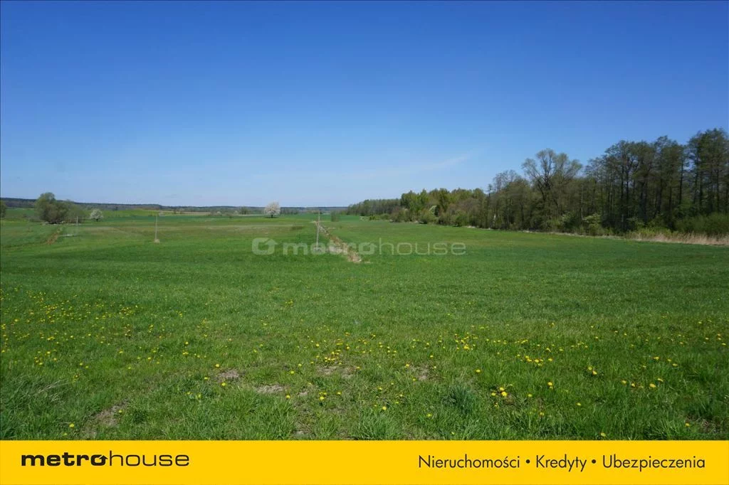 Działka 70 600,00 m², oferta nr , WOMO123, Leśniewo